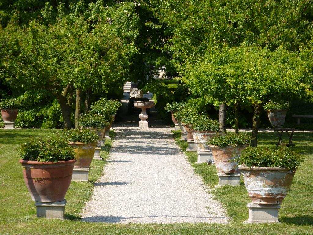Villa Alberti ドーロ エクステリア 写真
